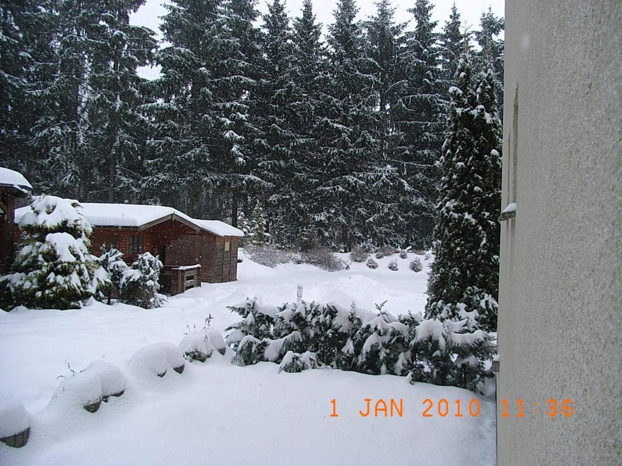 Blechleppel - Die Pension Im Harz Беннекенштайн Экстерьер фото